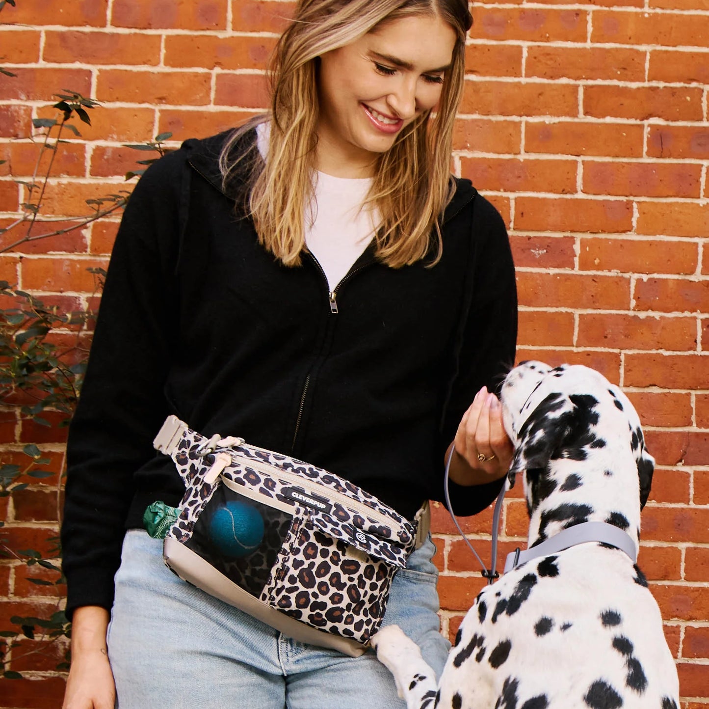 Dog Walk & Train Sling Bag